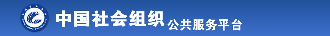 www.骚逼女全国社会组织信息查询